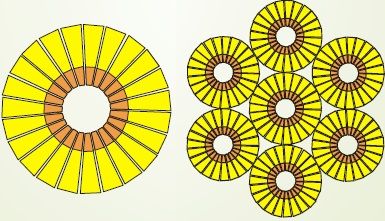 Membrana plasmática y sistema endomembranal