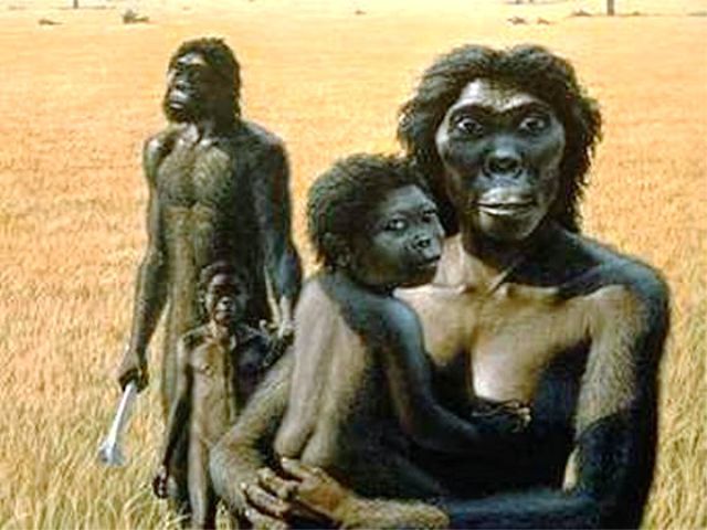 Antropología (Primer Parcial) María Cristina Santos