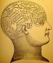 PREGUNTAS Y RESPUESTAS EN PSICOLOGIA COGNITIVA