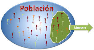 PREGUNTAS Y RESPUESTAS EN PSICOLOGIA COGNITIVA