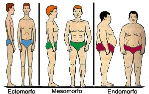 ..TIPOLOGIA HUMANA.. (Segun La Psicologia)