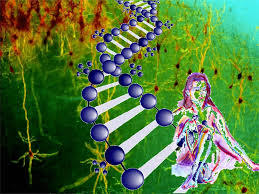Teorias de la vida,teorias evolutivas y genetica mental