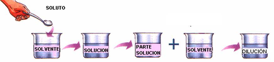 DILUCIONES SERIADAS Y RECUENTO EN PLACA