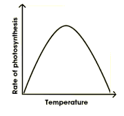 Rate of photosynthesis