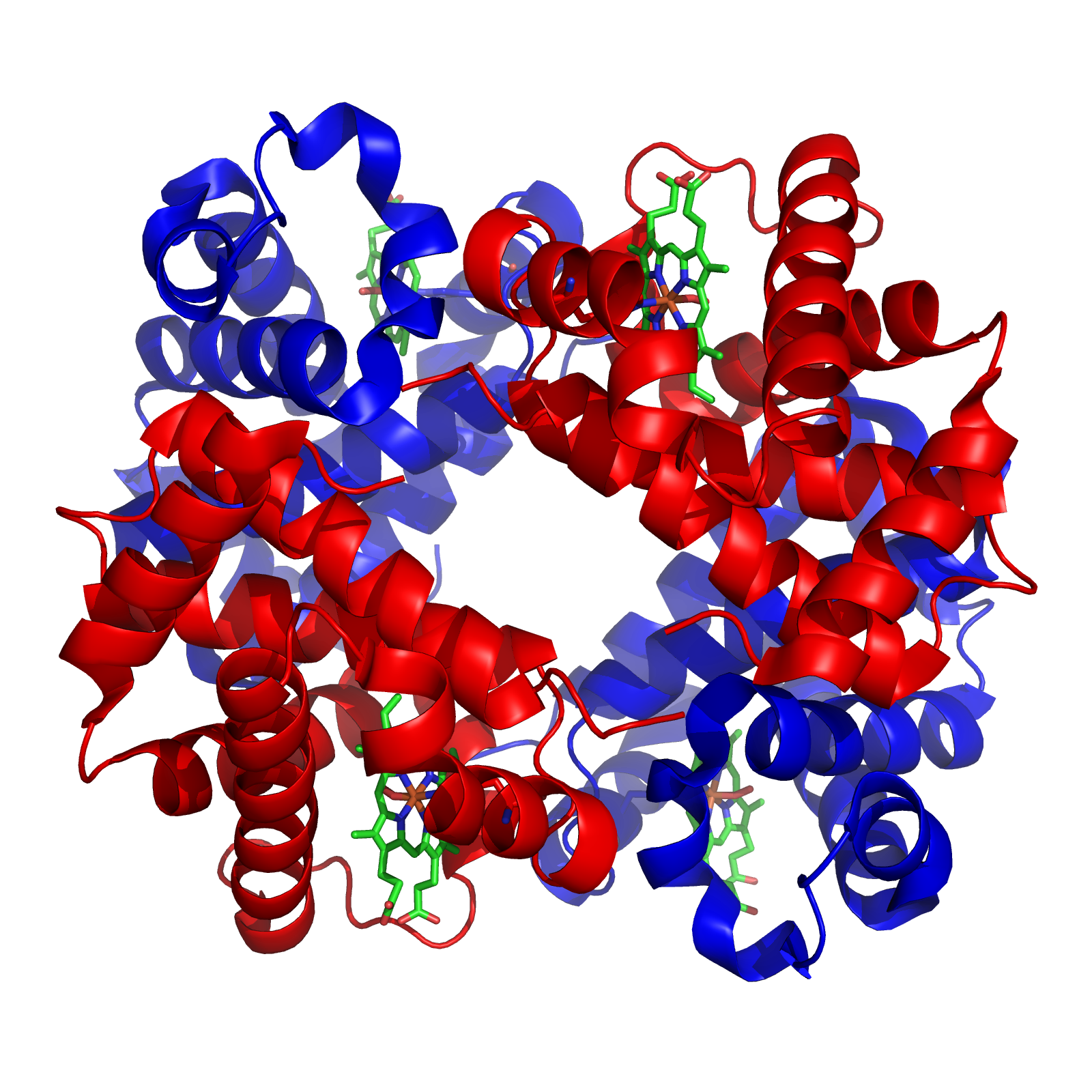 METABOLISMO FISICOQUIMICA FISOLOGICA