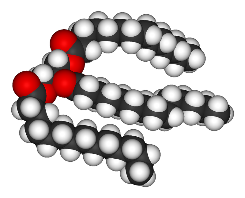 METABOLISMO FISICOQUIMICA FISOLOGICA