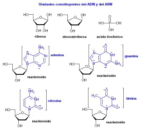 compuestos aromaticos diferentes del benceno