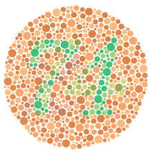 SENSACIÓN Y PERCEPCIÓN