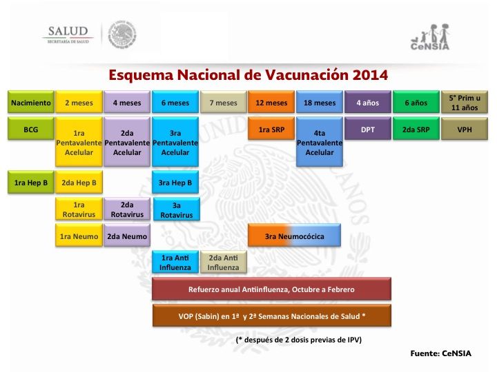 NOM 036 Referente a Vacunas Toxoides Sueros e Inmunoglibulinas
