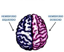 Mapa Mental Bases Biológicas de la Conducta Jhonier López