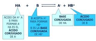 ÁCIDOS, Ph, BASES Y SOLUCIONES REGULADORAS.