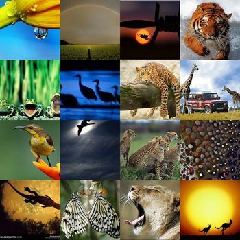 La Legislación Ambiental en Colombia