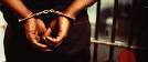 "Assess the view that ethnic differences in crime rates are the result of the ways the CJS Operates"