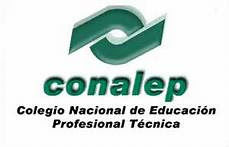 ACUERDO 444: Competencias del marco curricular común del Sistema Nacional de Bachillerato
