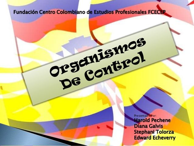 Constitucion Politica de Colombia Titulo X.