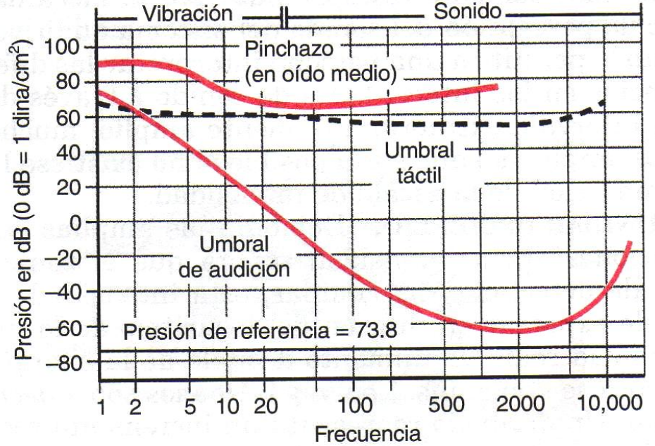 BIOFISICA DE LA PERCEPCION: SISTEMA AUDITIVO