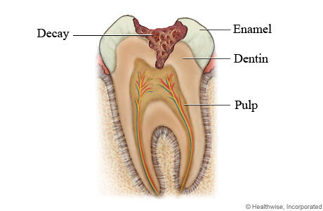 _Classification of the different diseases and disorders of the digestive system_