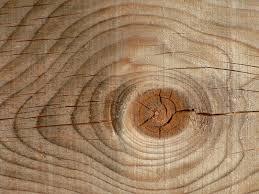 MANUAL LA CONSTRUCCION DE VIVIENDAS EN MADERA