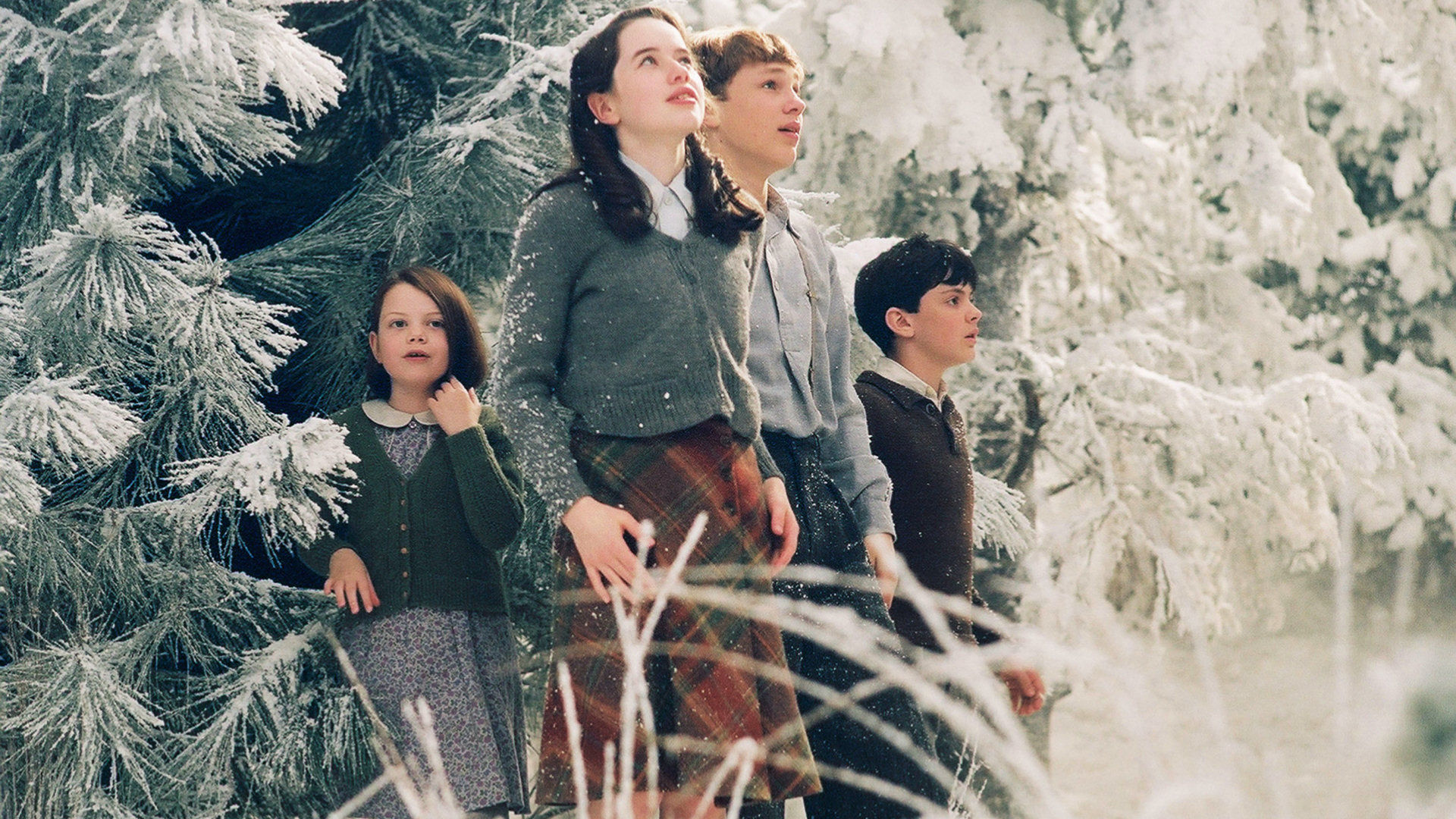 Narnia the lion, the witch and the wardrobe