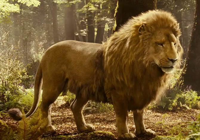 Narnia the lion, the witch and the wardrobe