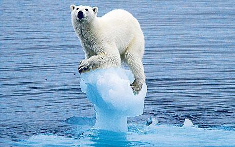 Ch.1 - Climate change