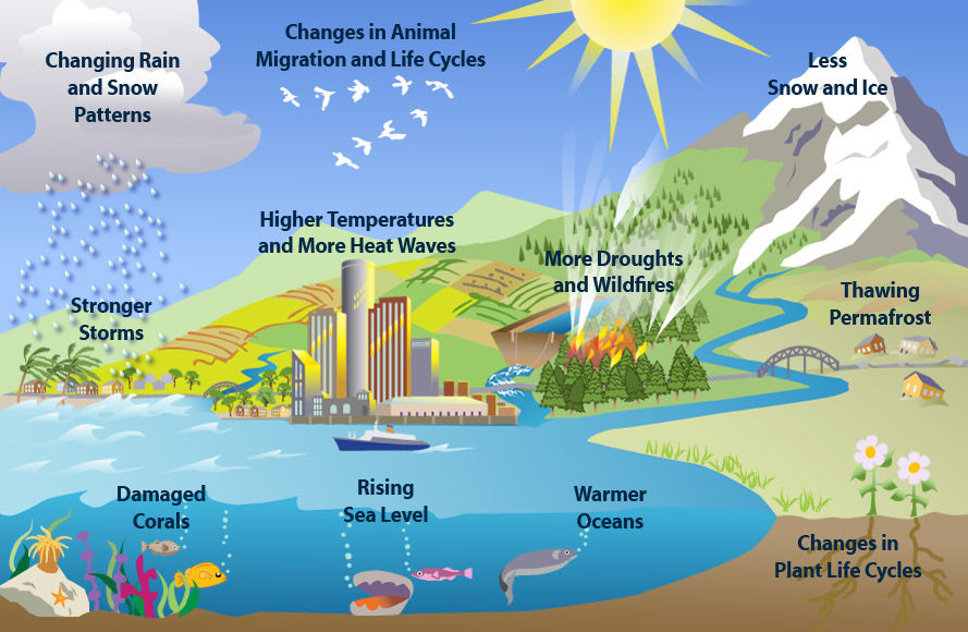 Ch.1 - Climate change