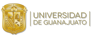 TIPOS DE DESEMPLEO Y SUS CONSECUENCIAS EN LAS ECONOMIAS EMERGENTES