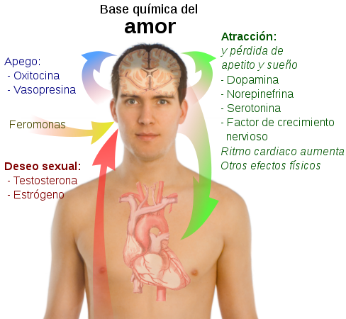 Implicaciones de la Química en nuestra cotidianidad