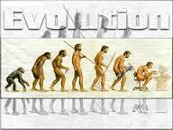psicofisiologia (neurociencia cognitiva)