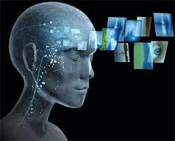 psicofisiologia (neurociencia cognitiva)