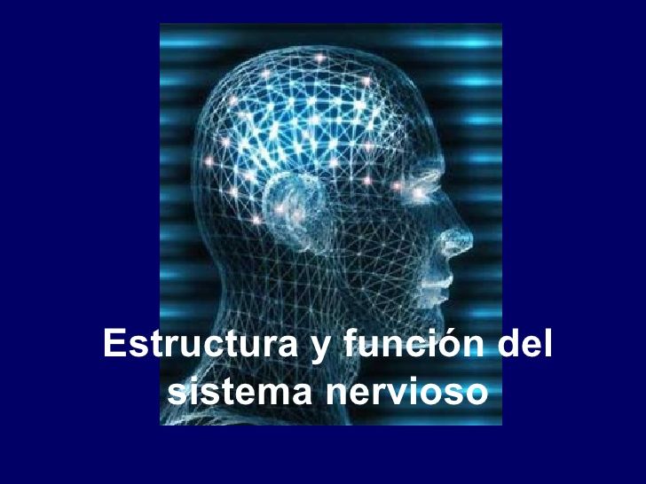 Desarrollo histórico de la Psicofisiología