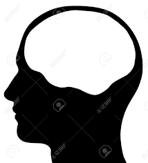 Neurociencia Cerebro y algunas de sus funciones