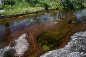 causantes de la degradaciòn del agua en sopó cundinamarca