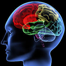 10. Quem é pessoa com deficiência? CNYDH