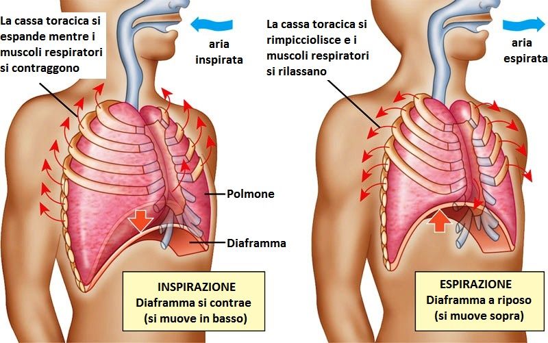 la respirazione