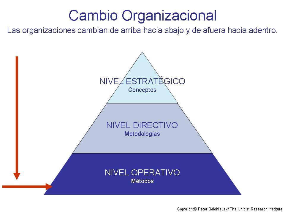 el centro educativo como organización que aprende