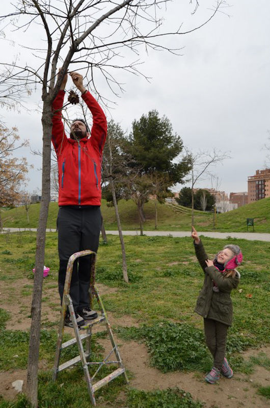TALLERES/ACTIVIDADES PUNTUALES LLEVADAS A CABO POR Y/O CON LAS FAMILIAS DE LA E. I. ZALEO