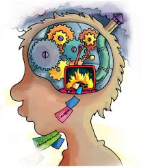 Como aprende la gente cerebro, mente, experiencia y escuela