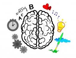 Como aprende la gente cerebro, mente, experiencia y escuela