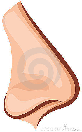 ¿Te Has Preguntado Qué Es Lo Que Te Hace Sentir Atraído Sexualmente A Ciertas Personas?