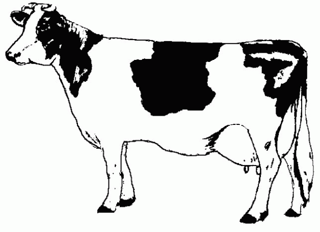 producción embrionaria in vivo y transferencia de embriones