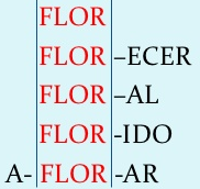 Contenido seleccionado: Aspectos morfológicos de la Lengua