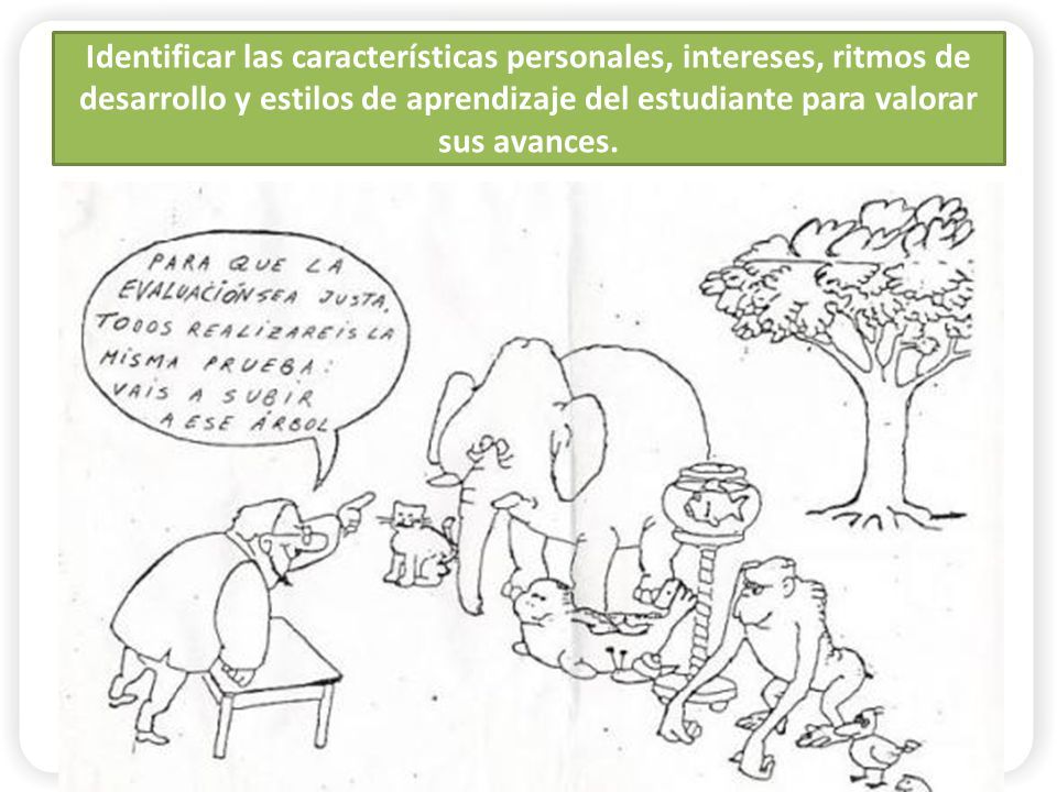 Características del currículo de la Educación Inicial