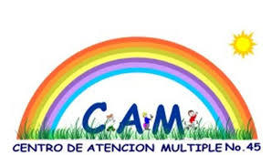 Características del currículo de la Educación Inicial