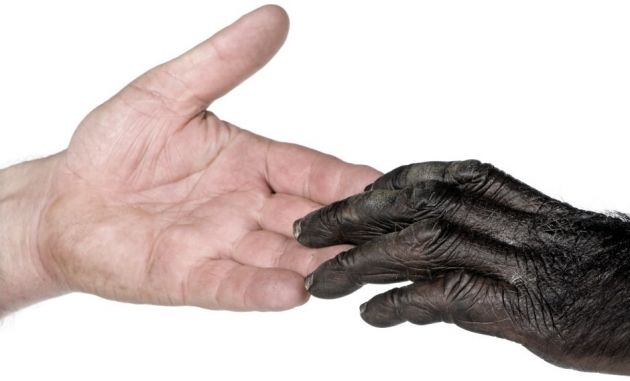 psicología en el contexto de las ciencias naturales , comportamiento y evolución