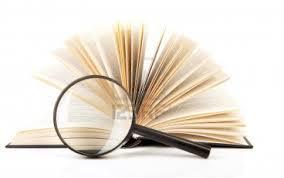 METOLOGIA DE LA INVESTIGACION EDITH VILLA