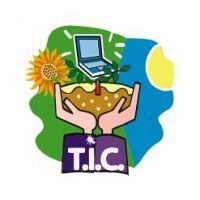 LA DIDÁCTICA EN LA DIDÁCTICAS DIGITALES - LA SOCIEDAD DEL CONOCIMIENTO Y LOS ENTORNOS VIRTUALES DE APRENDIZAJE