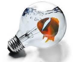 PRINCIPALES FACTORES//MEJORAMIENTO DE LA ACTIVIDAD INNOVADORA