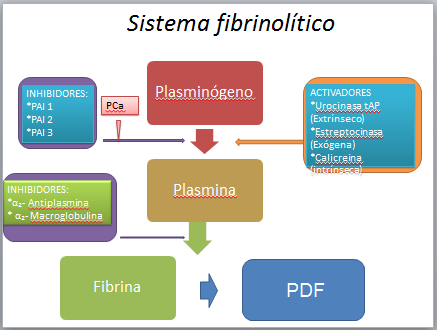 Fase plasmática de la coagulación y fibrinólisis