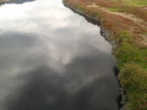 Efectos de la contaminación del Río Bogotá en la población de Soacha